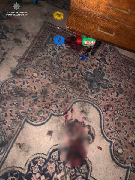 Зарізала собаку і намагалася вбити себе: в Луцьку затримали агресивну жінку (фото)