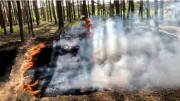Волинські рятувальники вчилися гасити лісові пожежі у Польщі (відео)