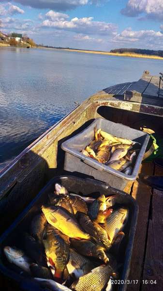 У Хрінницьке водосховище вселили майже тонну риби