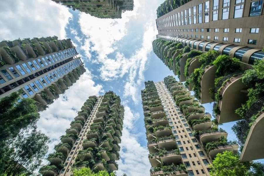 Збудували для комарів: в Китаї стоять пустками багатоповерхівки з «джунглями»на балконі