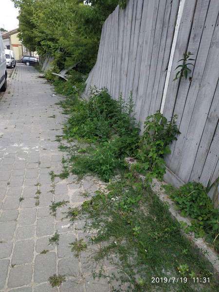 Будівельника змусили прибрати «джунглі» на Драгоманова в Луцьку (фото)