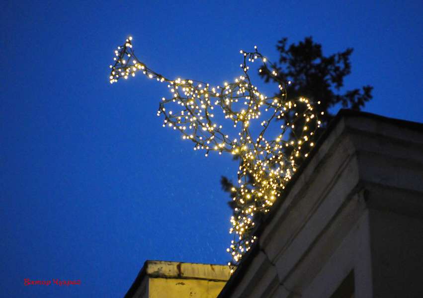 Луцький фотограф показав світлини новорічного міста