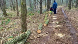 На Ковельщині в лісі зловили селянина, який рубав дрова (фото)