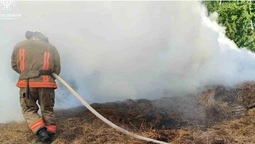 Чотири пожежі на Волині: горіли солома, сміття та альтанка (фото)