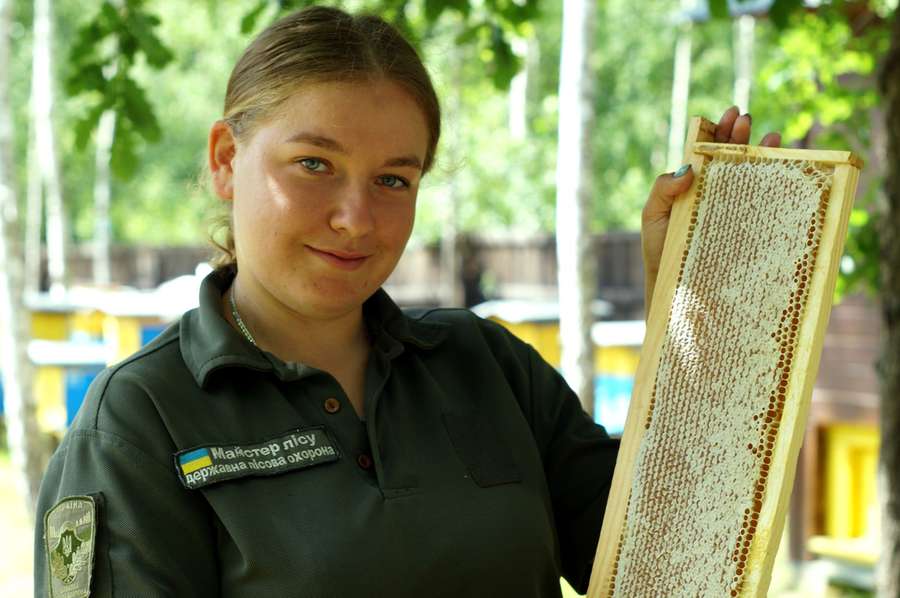 Волинські лісівники викачали мед, добутий 70 тисячами «золотих» комах (фото)