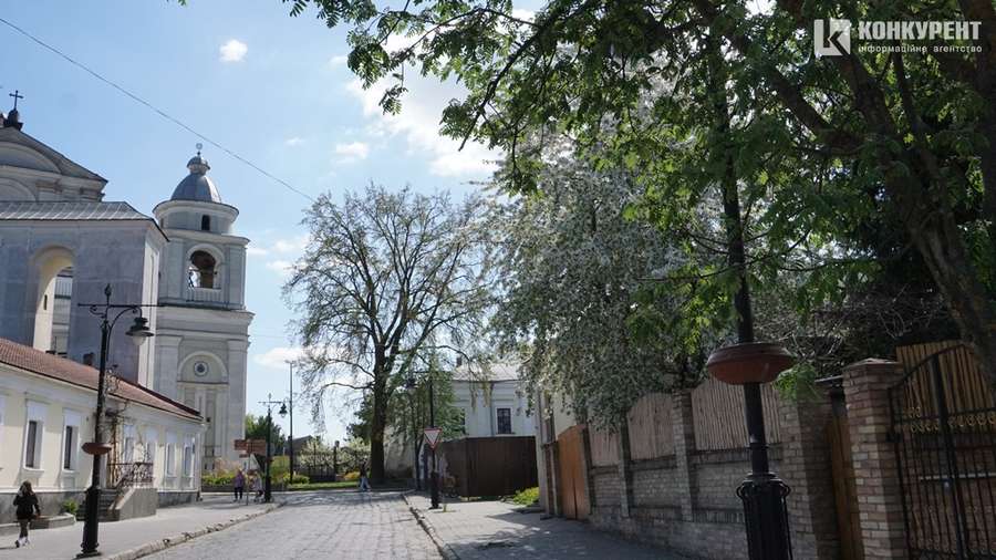 Старе місто у Луцьку буяє квітами (фото)