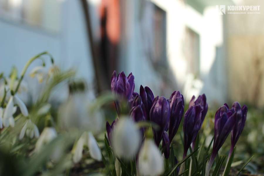 Весна у Старому Луцьку: 10+ теплих фото