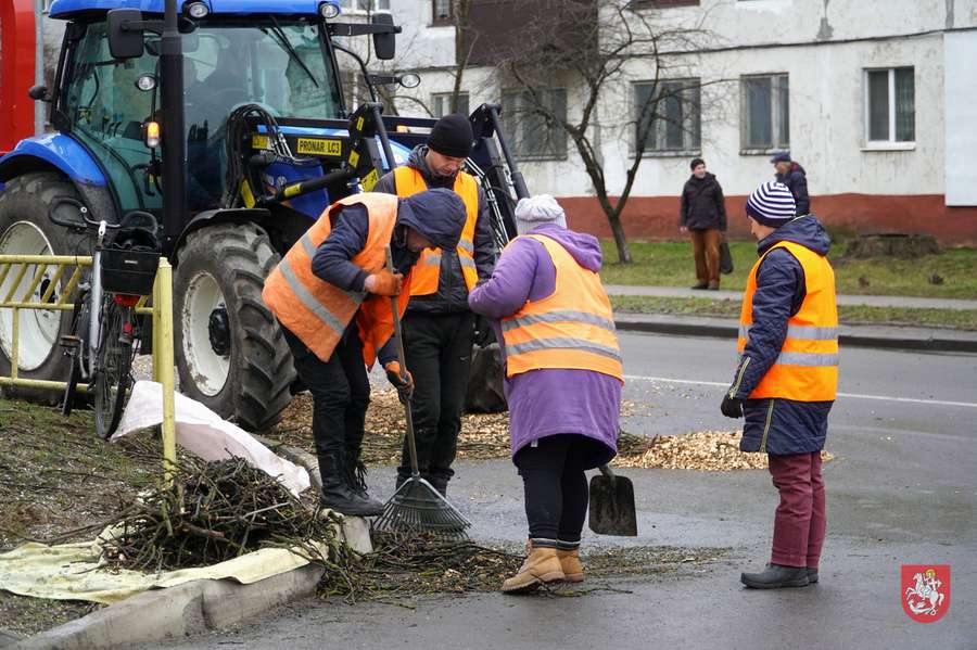 У Володимирі на Ковельській кронують дерева (фото)