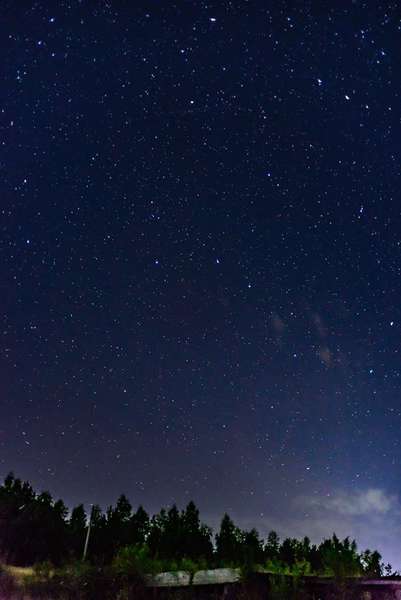 Фотограф показав казкове зоряне небо над Озерцем