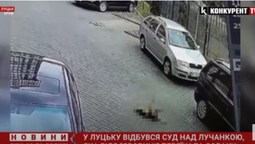 У Луцьку судять водійку, яка переїхала собаку біля «Яровиці» (відео)