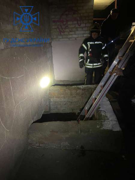 Ковельські рятувальники врятували собаку, який застряг у підвалі (фото)