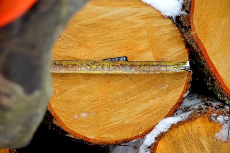 Маркування деревини - замірювання діаметру 