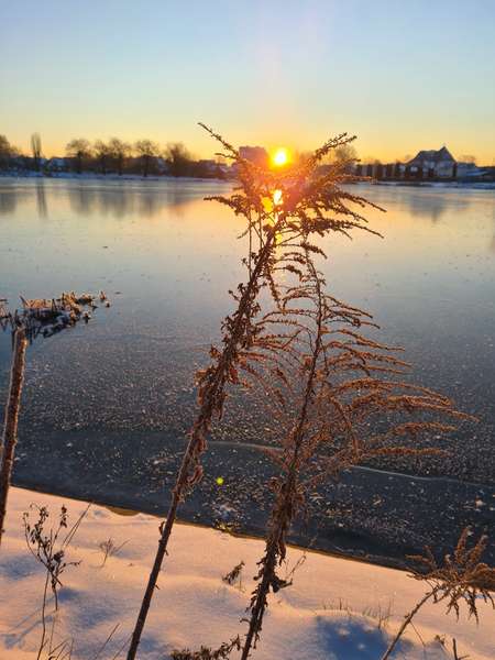Морозний зимовий ранок на Теремнівських ставках (фото)