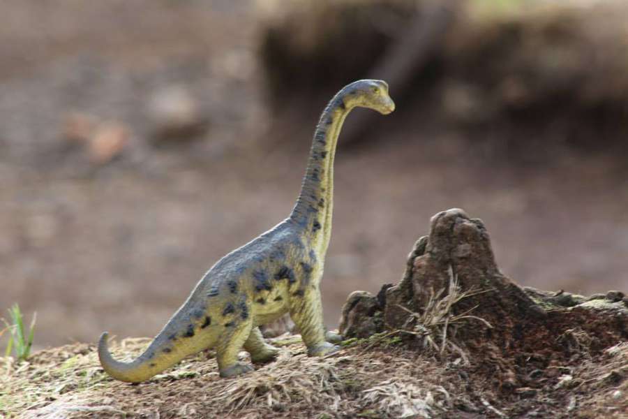 Цей диназаврик був на найвищій вершині Африки
