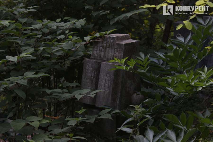 Пальма, криниця і «могила хом'яка»: (не)містична прогулянка луцьким цвинтарем (фото)