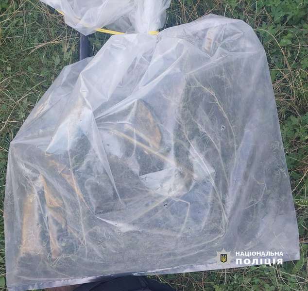 Вдома у 32-річного жителя Луцького району знайшли гранату, обріз і «травку» (фото)