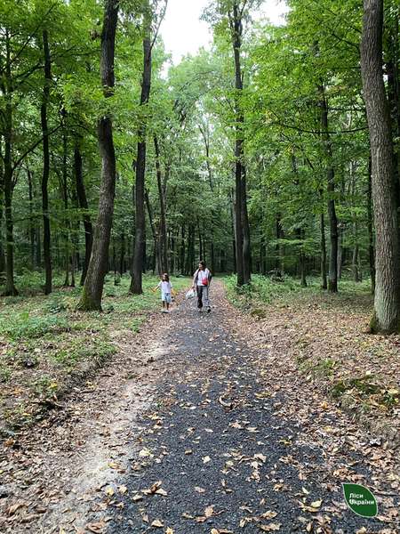 На прогулянку в ліс біля Луцька мама з донькою одягають яскраві рукавиці: навіщо (фото)