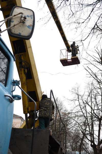 Навіщо на Волі в Луцьку обрізають дерева (фото)
