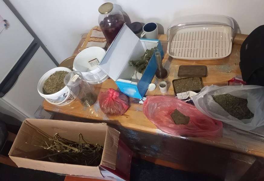 Волиняни вдома зберігали гранати, набої та марихуану: вони підуть під суд (фото)