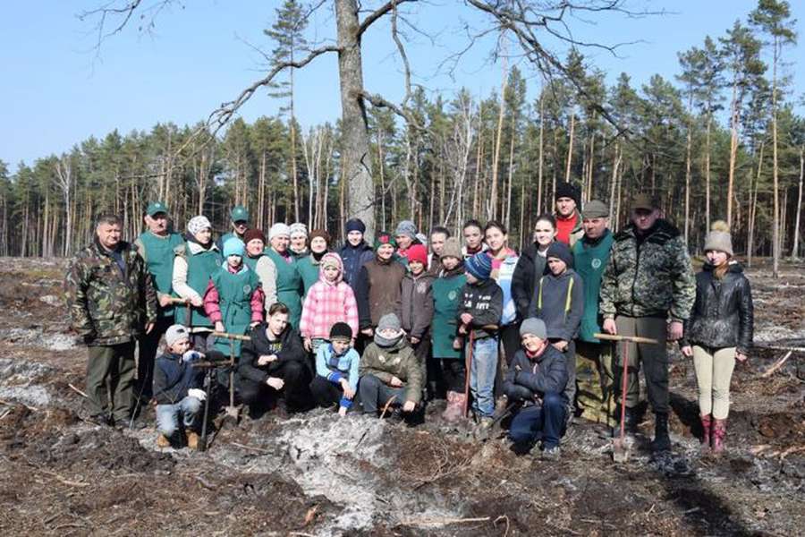 Через карантин лісівники Волині садитимуть ліс самостійно, без волонтерів