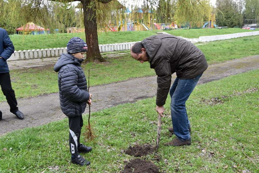 У центральному парку Луцька посадили нові дерева (фото) 