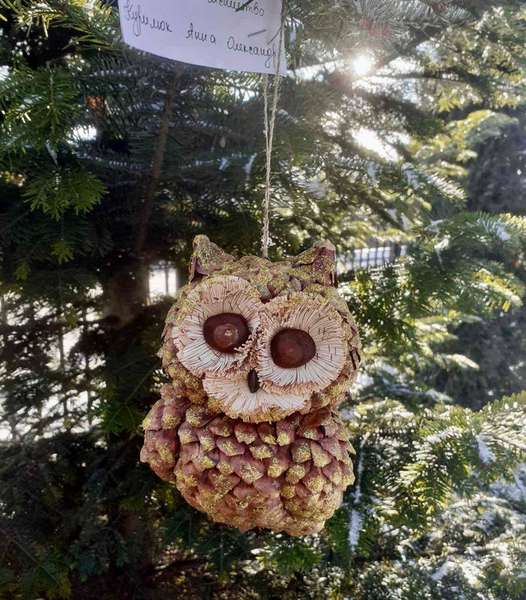 «Лісова екоіграшка»: у лісгоспі на Волині провели конкурс новорічної іграшки (фото)
