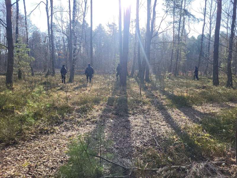 Обстежують лісосмугу та болота: на Волині продовжують пошуки зниклої дівчини (фото)