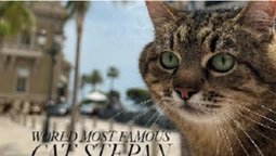 Кіт Степан потрапив на обкладинку Times Монако (фото)