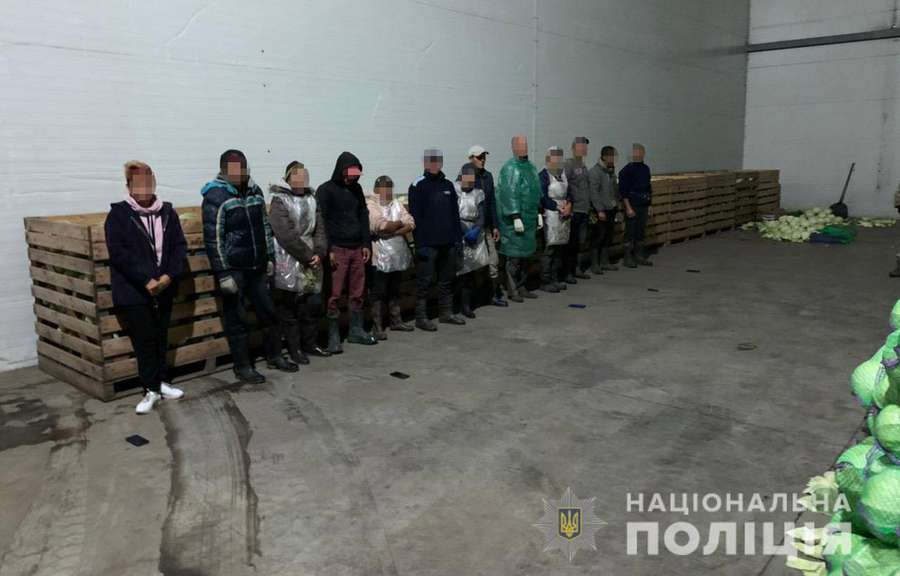 Трудове рабство: на Дніпропетровщині звільнили 60 людей (фото,відео)