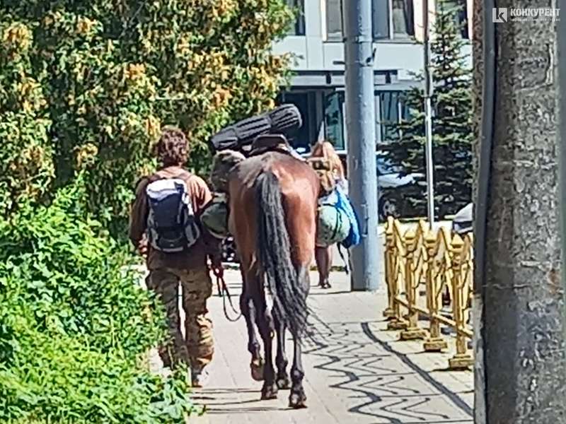 «Проскакав» до ЦУМу: в Луцьку помітили мандрівника з конем (фото)