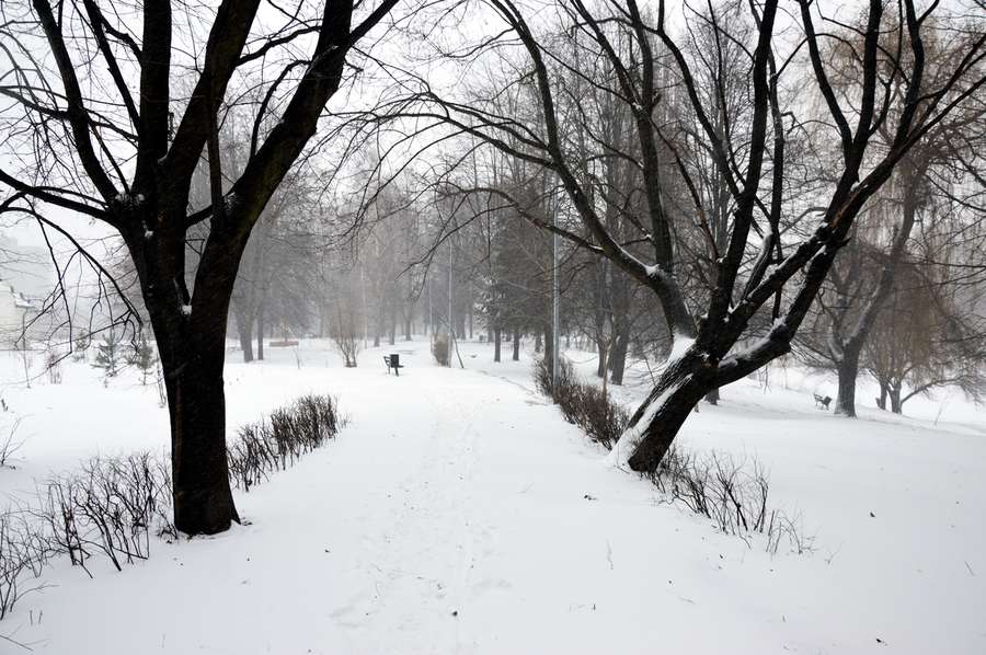 Люті зими повертаються: Луцьк замело снігом (фото)