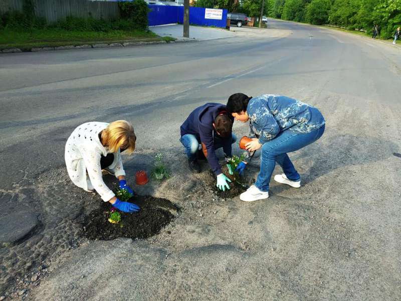 У Луцьку на двох вулицях у вибоїнах посадили квіти  (фото, оновлено)