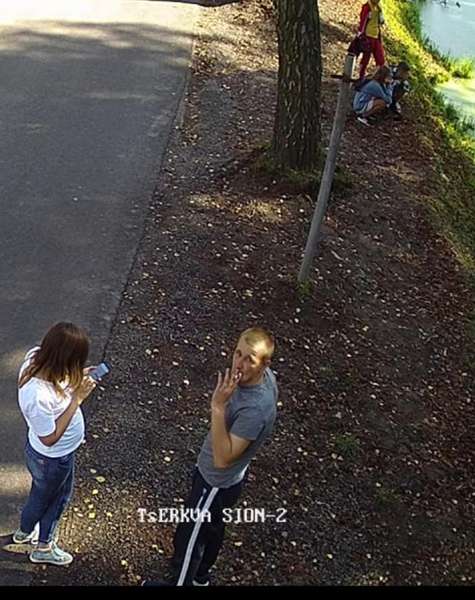 На відео показали чоловіка, який закидав камінням качку у луцькому парку (фото, відео)