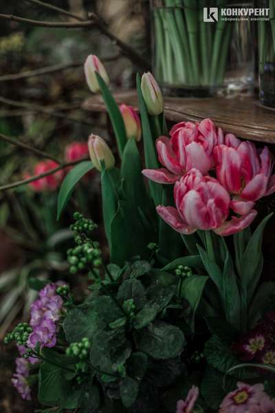 Armani, Dior та ванна у квітах: біля Луцька – pre-party «Волинської Голландії» (фото)