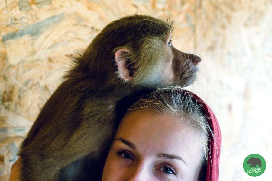 «Знаєте, що таке любов?»: як годують тварин у Луцькому зоопарку (фото)