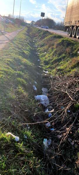 Усе загаджене: у Луцьку скаржаться на сміття вздовж доріг та в парках