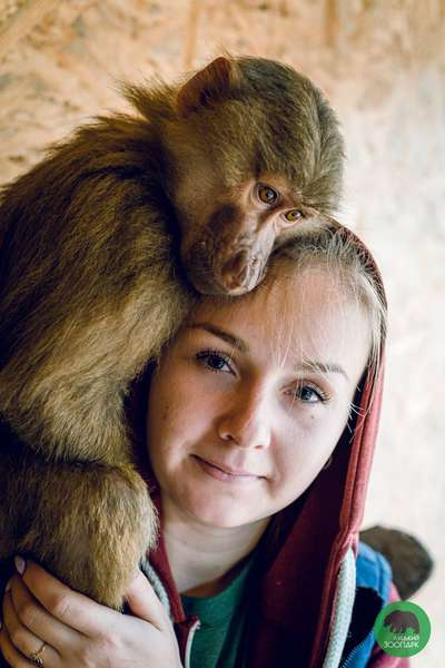 «Знаєте, що таке любов?»: як годують тварин у Луцькому зоопарку (фото)