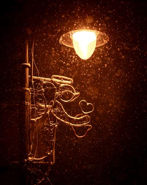 Світло ліхтарів і сяяння сніжинок: нічний снігопад у Луцьку (фото)