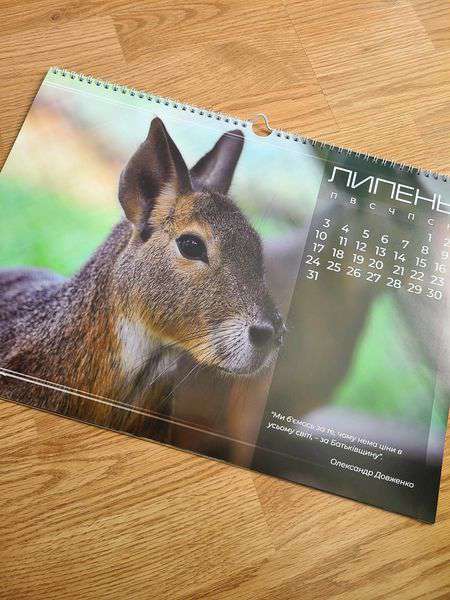 Позитивний і мотивуючий: Луцький зоопарк випустив календар на 2023 рік (фото)