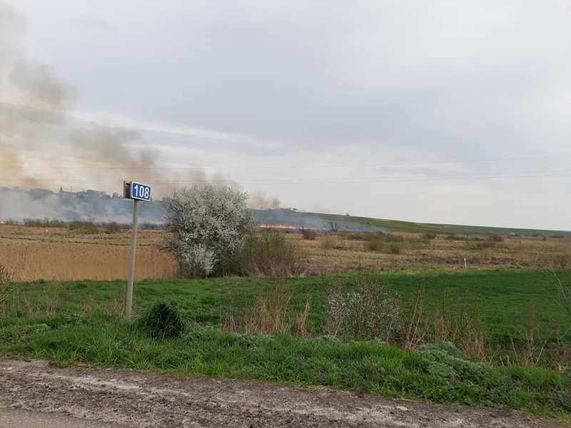 Біля траси «Львів-Луцьк» палає долина (фото)