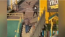 Б'ють дзьобами і крилами: у Києві ворони атакують клієнтів супермаркету (фото)