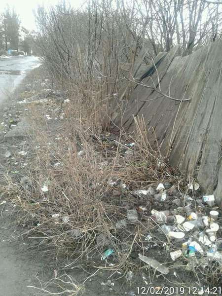 Зламаний паркан і сміття: у Луцьку занедбали земельну ділянку (фото)