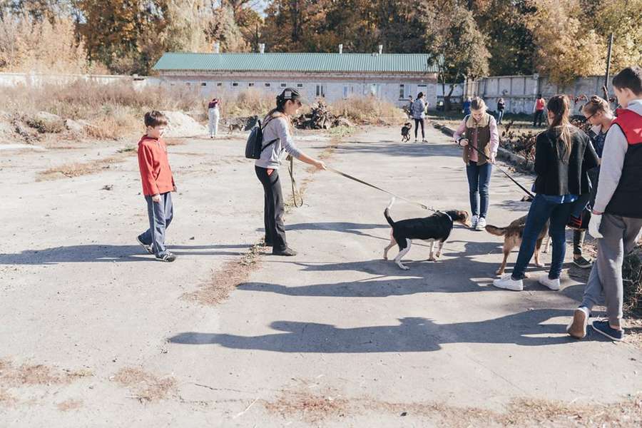 На КП «Ласка» майстрували собакам будки (фото) 
