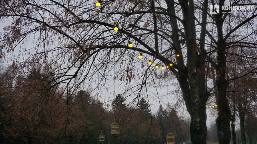 Тлін, безвихідь і бігуни: різдвяний ранок у луцькому парку (депресивні фото)