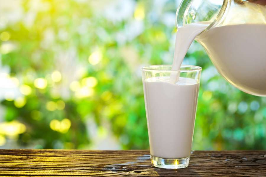 Волинь - у десятці лідерів за обсягами виробництва молока (рейтинг)