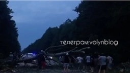 На трасі Ковель – Маневичі на авто впало дерево – є постраждалі (відео)