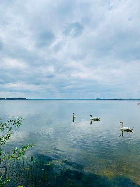 У Світязі перевірили якість води: що з озером після навали туристів (фото)