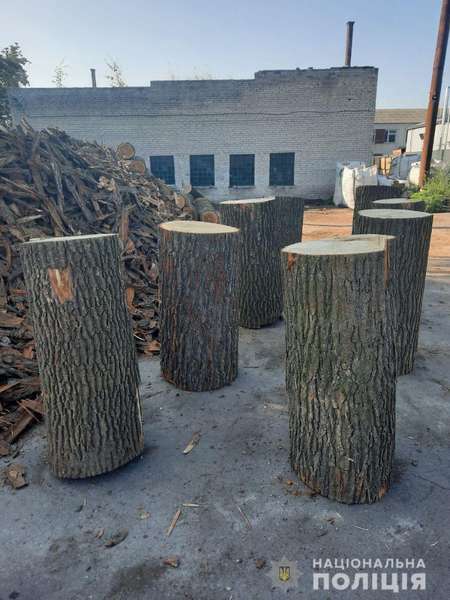 У Луцьку на підприємстві знайшли 60 колод незаконно зрубаного дуба (фото)