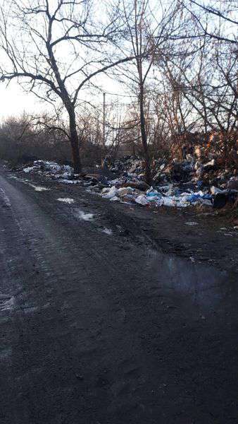 Сморід і безхатьки: на сміттєзвалищі біля Ківерець велике прибирання