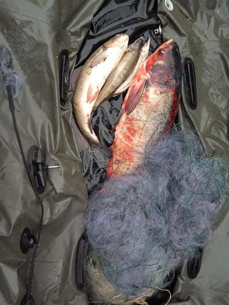 На човні і з сітками: на Ковельщині рибалки завдали збитків на понад 100 тисяч гривень (фото)